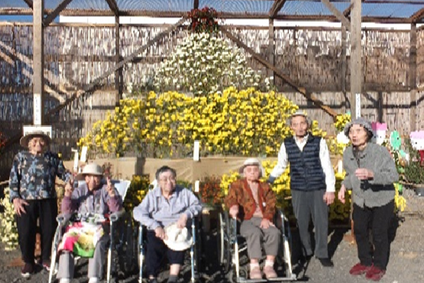 温室内で花に囲まれた入居者と職員による集合写真。ひまわり等の花が飾られた行事風景。